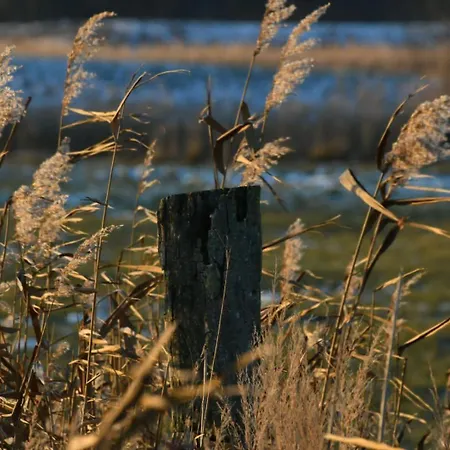 Hochwertige Direkt Am Hafen Mit Balkon *