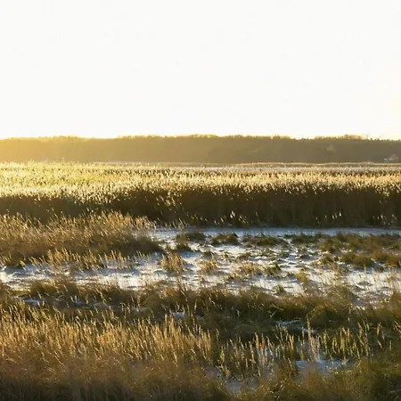 Hochwertige Direkt Am Hafen Mit Balkon * Karlshagen