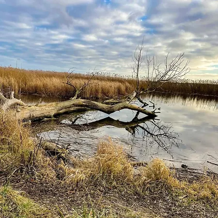 Hochwertige Direkt Am Hafen Mit Balkon * Karlshagen